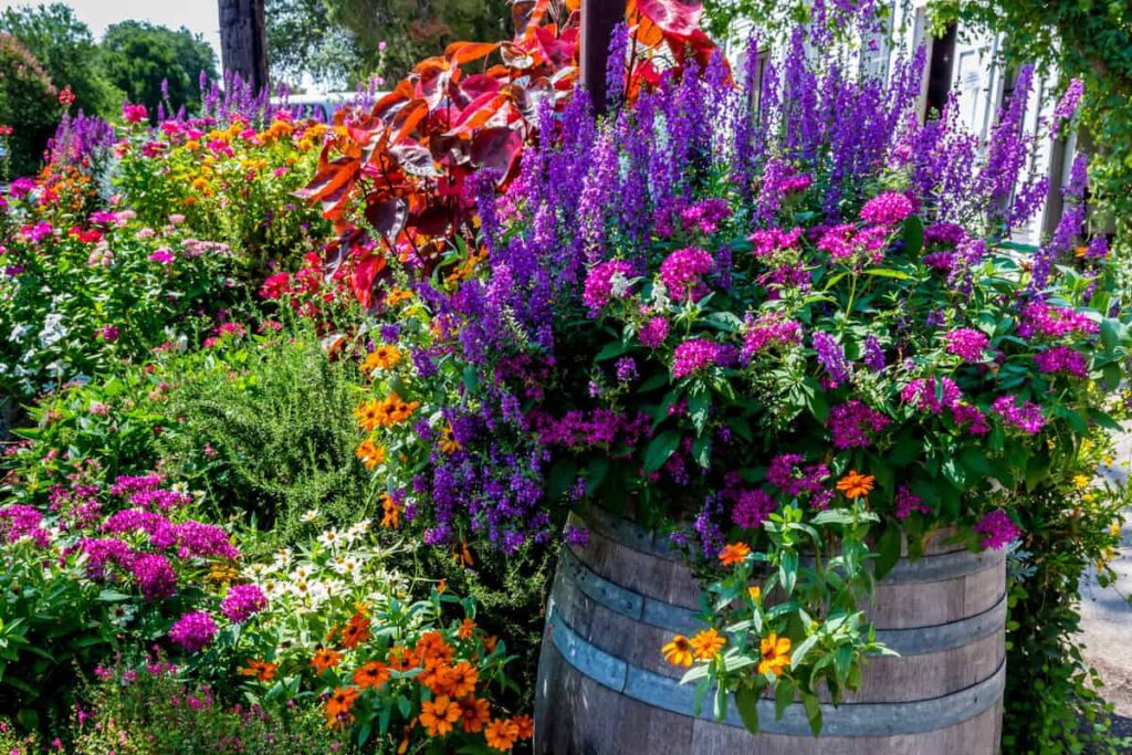 Flowering Plants