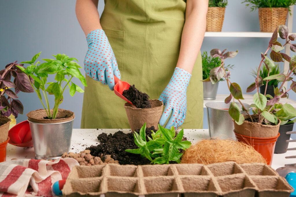 Gardening Tips