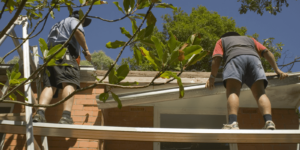Why Professional Tree Removal is Crucial for Property Safety